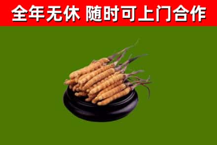 灵川县烟酒回收冬虫夏草.jpg